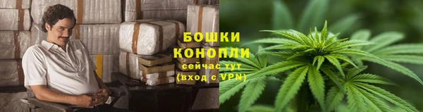 дмт Арсеньев