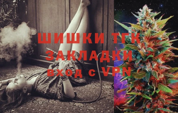 дмт Арсеньев