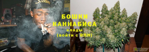 дмт Арсеньев