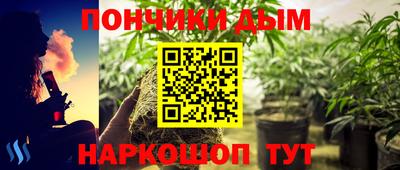 дмт Нальчик