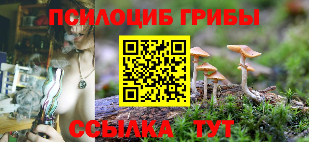 даркнет сайт  Вход с VPN  Арсеньев  Галлюциногенные грибы Magic Shrooms 